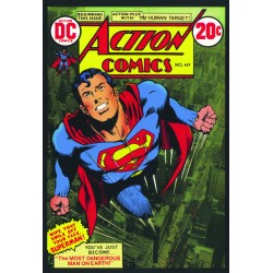 Action Comics, n. 419