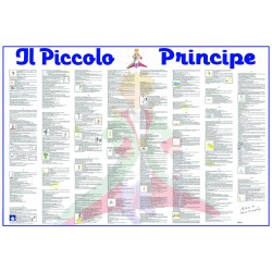 The little Prince (Italian Version)